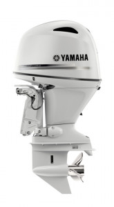Image2