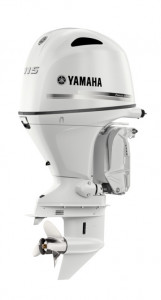 Image2