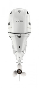 Image4