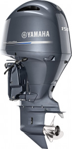 Image2