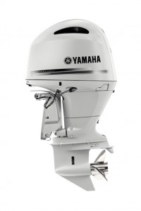 Image2