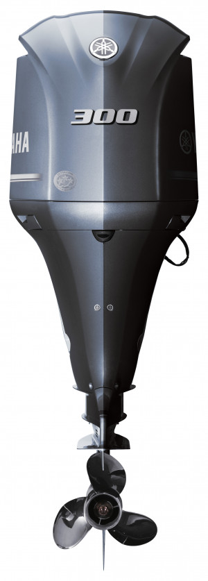 Image3